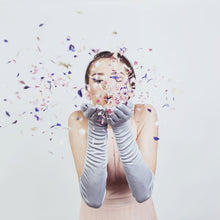 Load image into Gallery viewer, Desdemona - Silk Opera Glove with Mousquetaire - shopcurious