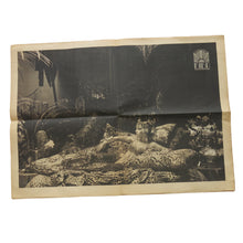 Load image into Gallery viewer, Big Biba Launch Newspaper - ShopCurious