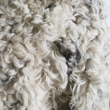 Load image into Gallery viewer, Vintage Y2K DKNY Reversible Mongolian Lamb/Suede Long Coat - ShopCurious