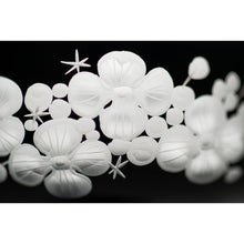 Load image into Gallery viewer, Isadora Champagne Saucer - Black Pair - shopcurious