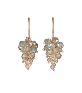 Labradorite Grape Earrings - shopcurious